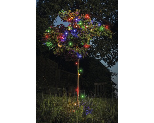 Arbre avec guirlande lumineuse multicolore dans le jardin