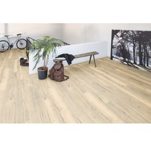 Szene mit hellem Laminatboden, Bank, Pflanze, Rucksack und Fahrrad