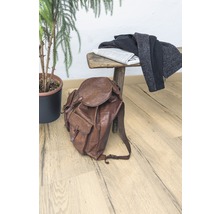 Szene mit braunem Lederrucksack, Zeitung, Kleidung auf einer Holzbank und einer Zimmerpflanze.