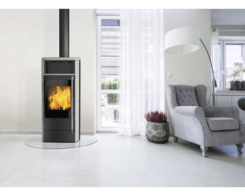 Salon avec poêle à bois, fauteuil et plante d''intérieur