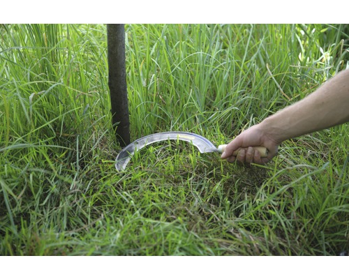 Faucille à main avec manche en bois coupant de l''herbe