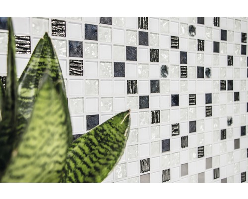 Carrelage mural avec motif mosaïque et plante d''intérieur