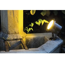 Gartenbeleuchtung mit LED Strahler an einem Brunnen