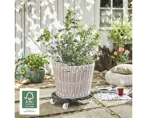 Panier avec plante sur roulettes pour plantes à l''extérieur