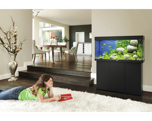 Aquarium avec meuble bas dans un salon avec poissons et décoration