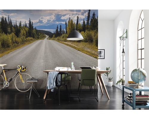 Exemple d''aménagement d''une pièce avec un papier peint photo d''une route traversant un paysage forestier