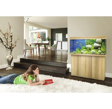 Wohnzimmer mit Aquarium auf Unterschrank und einer Frau auf einem Teppich