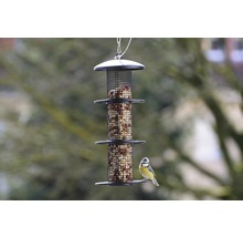 Vogelhaus mit Futter und Blaumeise