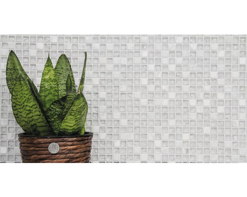 Plante d''intérieur dans un pot tressé devant un fond de mosaïque