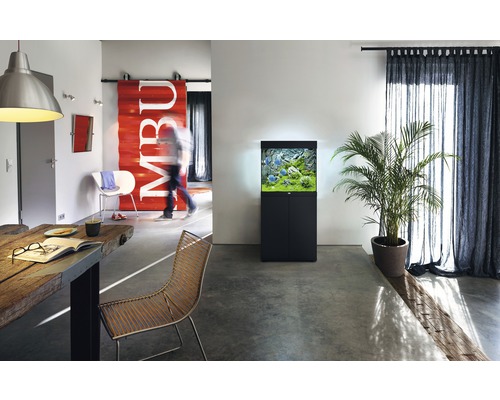 Pièce à vivre avec aquarium sur meuble bas, table, chaise et plante d''intérieur