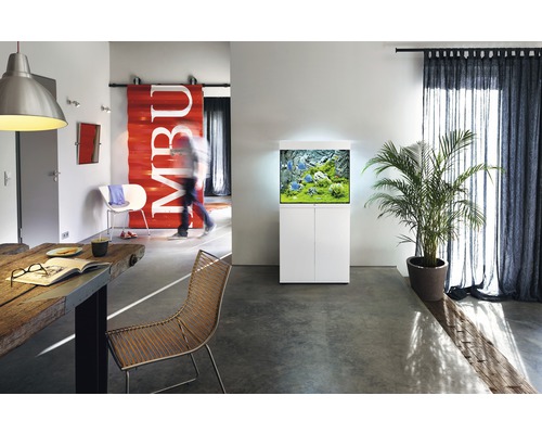 Salon moderne avec aquarium sur meuble bas, table et chaise