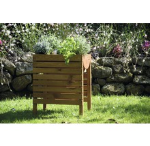 Jardinière surélevée en bois avec herbes aromatiques dans le jardin