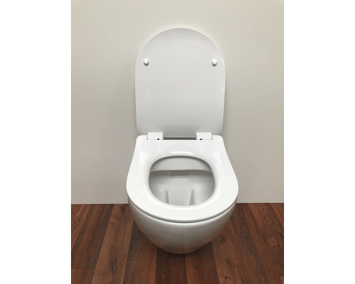 Wandhängendes Tiefspülklosett mit offenem Spülrand und Toilettendeckel