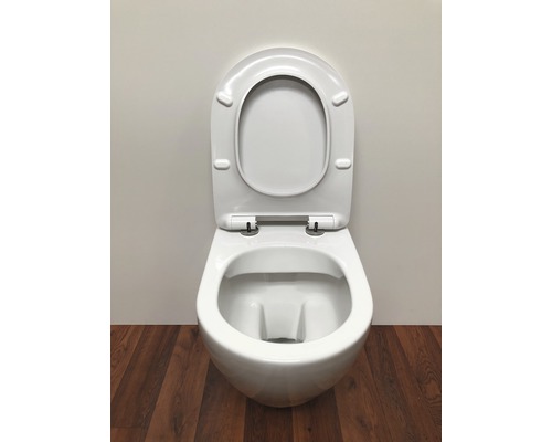 Wand-Tiefspültoilette mit offenem Spülrand und hochgeklapptem Sitz