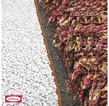 Gartenszene mit weißen Zierkieseln, Rasenkante und Pflanzen