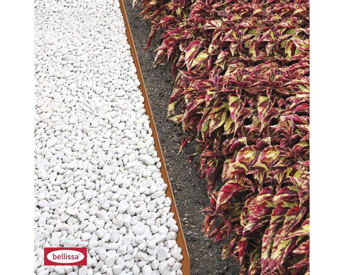 Gartenszene mit weißen Zierkieseln, Rasenkante und Pflanzen