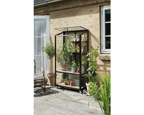 Gewächshaus JULIANA City Greenhouse 4 mm Sicherheitsglas rollbar 80 x 40 cm schwarz