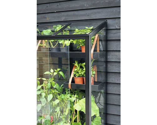 Vue détaillée d''une serre avec des plantes sur des étagères