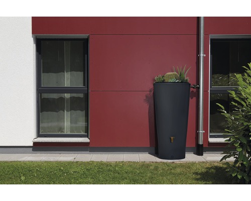 Récupérateur d''eau de pluie foncé avec des plantes à côté d''une descente pluviale sur un mur de maison.