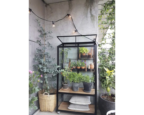 Balcon avec étagère de serre, plantes et guirlande lumineuse