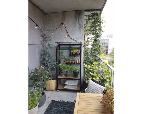 Scène de balcon avec étagère de serre, diverses plantes en pot, guirlande lumineuse et table de jardin