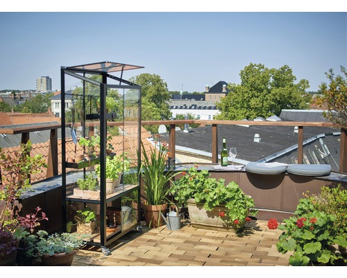 Jardin de toit avec serre, plantes et sièges