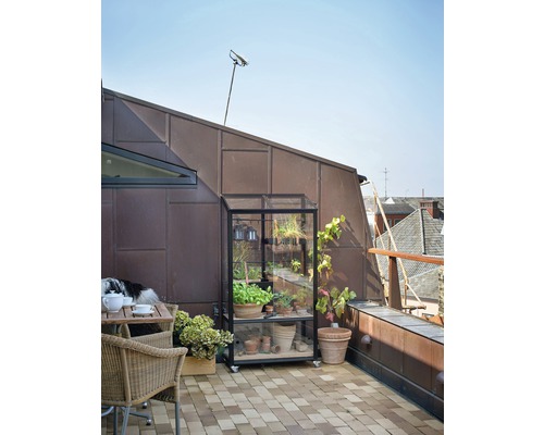 Scène avec une petite serre sur une terrasse avec des plantes, une table et des chaises.