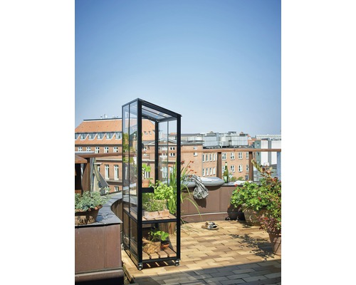 Serre avec des plantes sur un toit-terrasse