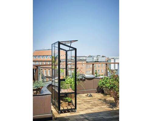 Serre avec plantes sur un toit-terrasse