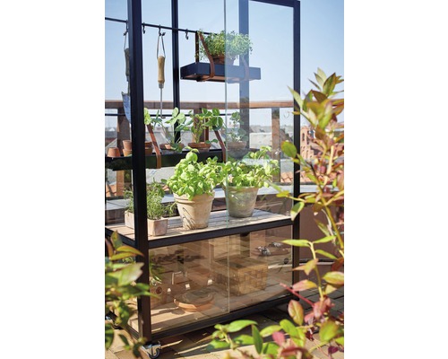 Serre avec plantes, outils et étagères pour le jardin