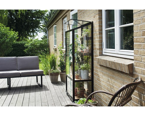 Serre en verre et métal avec plantes sur une terrasse