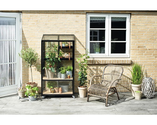 Extérieur avec étagère de serre, plantes et fauteuil en rotin devant un mur de briques