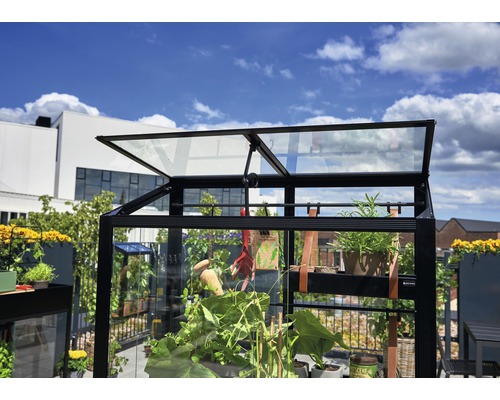 Serre avec fenêtre ouverte sur un jardin de toit avec des plantes