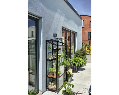 Serre avec des plantes sur une terrasse