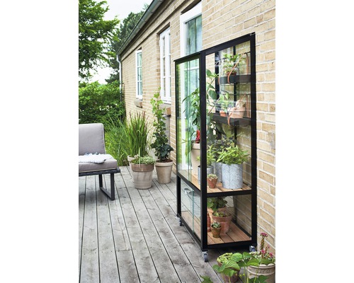 Serre avec plantes sur une terrasse devant un bâtiment en briques