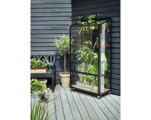 Serre mobile avec plantes sur une terrasse