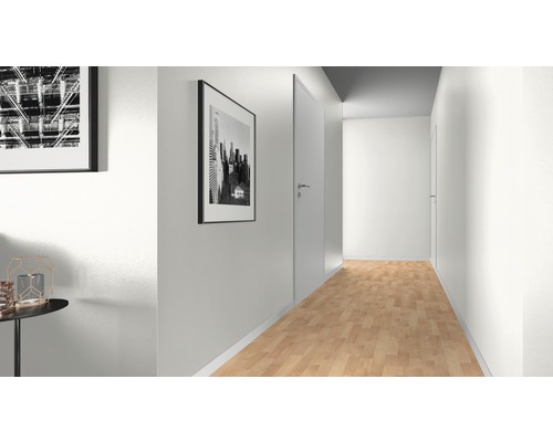Couloir avec plancher en bois, portes et tableaux muraux