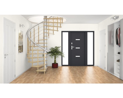 Espace d''entrée avec escalier en colimaçon, porte d''entrée et armoire de vestiaire.