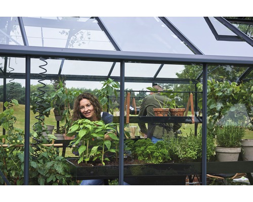 Frau und Mann arbeiten in einem Gewächshaus mit Pflanzen, Gemüse und Kräutern.