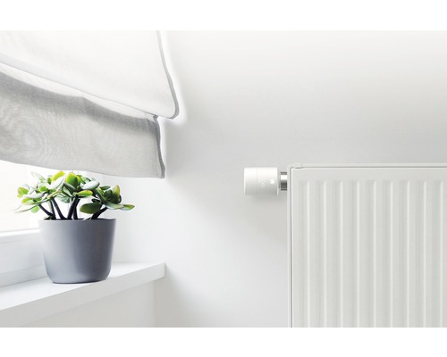 Heizkörper mit elektronischem Thermostat, Vorhang und Zimmerpflanze auf Fensterbank