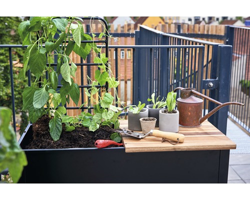 Bepflanzter Hochbeetkasten auf einem Balkon mit Pflanzen und Gartenzubehör
