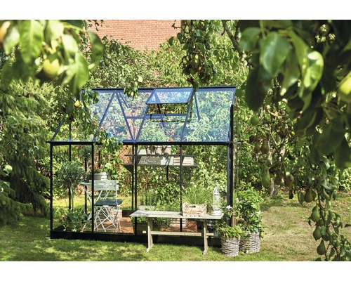 Gewächshaus Halls Qube 68 5,1 m² Sicherheitsglas 3 mm 198 x 259 cm schwarz Gewächshaus mit Glaswänden und Pflanzen im Garten