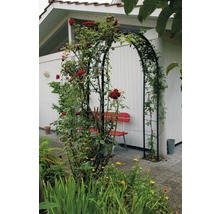 Rosenbogen Lena 140x40x240 cm, schwarz