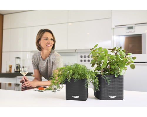 Szene einer modernen Küche mit Kräutertöpfen auf einer Küchentheke