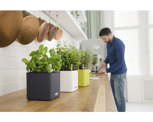 Küche mit Kräutern in Pflanzgefässen auf einer Arbeitsplatte und einer Person im Hintergrund