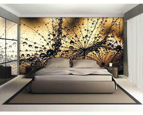 Schlafzimmer mit Fototapete Löwenzahn und Wassertropfen