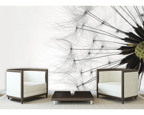 Salon avec papier peint photo d''un pissenlit, deux fauteuils et une table