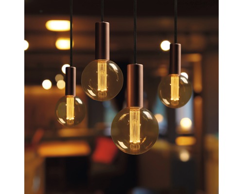 Plusieurs suspensions avec des ampoules rondes sont suspendues au plafond