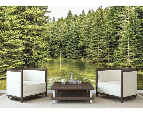 Wandbild mit Waldsee-Motiv in einem Wohnzimmer