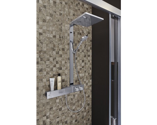 Duschsystem mit Kopf- und Handbrause sowie Ablage im Badezimmer
